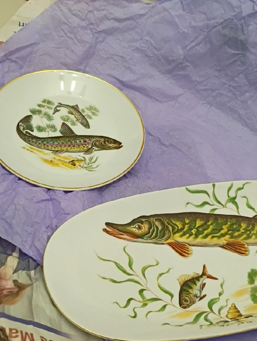 Vtg Fish Porcelain Serving Plate & Appetizer Dish Set - (6) Awesome Colors